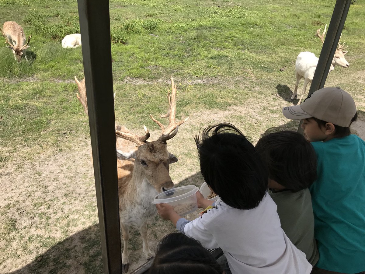 ShelyaWaters's tweet photo. Bayou Wildlife @ExplorersCol #MarchMagic #CollinsStrong https://t.co/jrSX2vsn29
