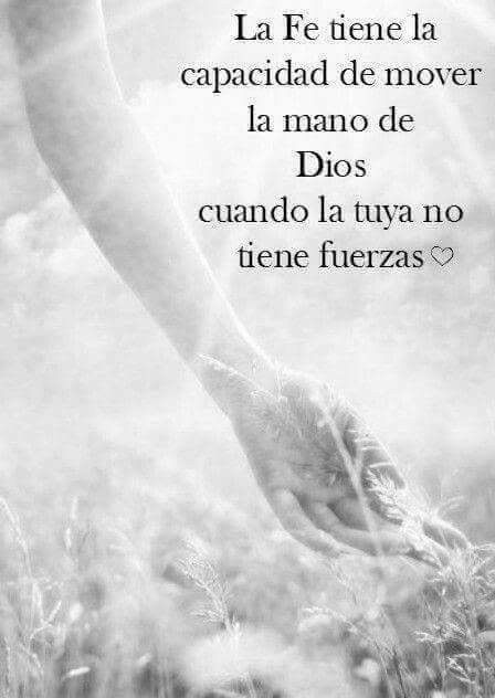 🔥 Tacita de Té 🍵🌿🌞💥✨ tweet media