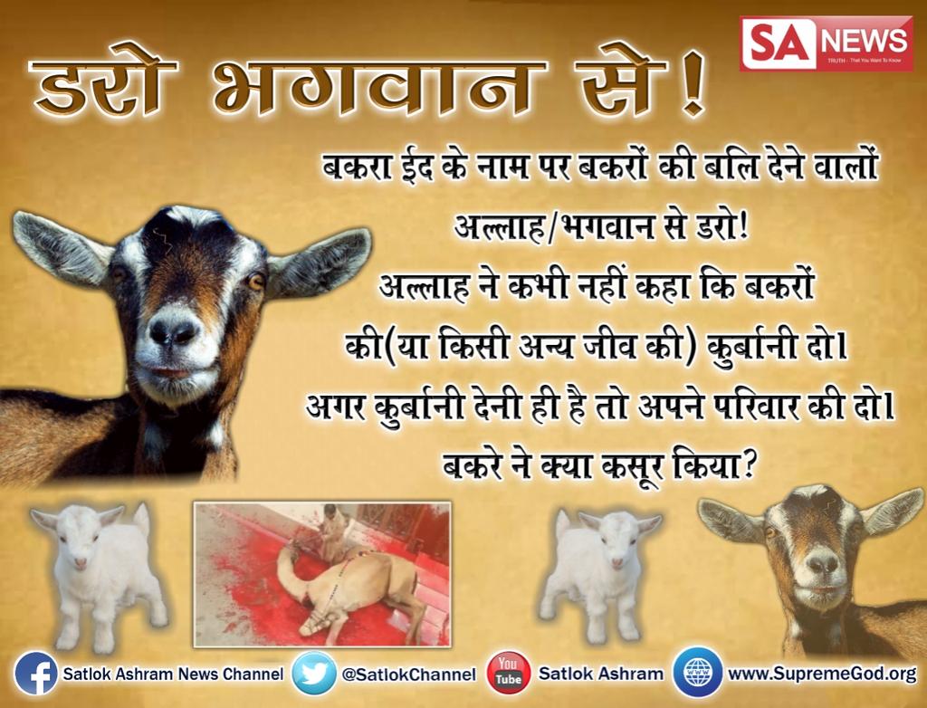 ASHOKKU22407151's tweet photo. #डरो_भगवान_से 
यहां के सुख शोहरत के आगे अपने
मनुष्य जन्म को ब्यर्थ मत करो।
भगवान की भक्ति करो शास्त्रों में वर्णित विधि
के अनुसार। अवश्य देखें👇
साधना चैनल 7:30 से 8:30 https://t.co/VMSBL1tk47