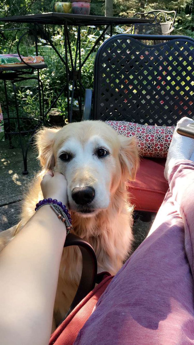 hallie422's tweet photo. Happy #NationalPuppyDay !! Wish I could be with my sugar right now https://t.co/mL0o48vtlw