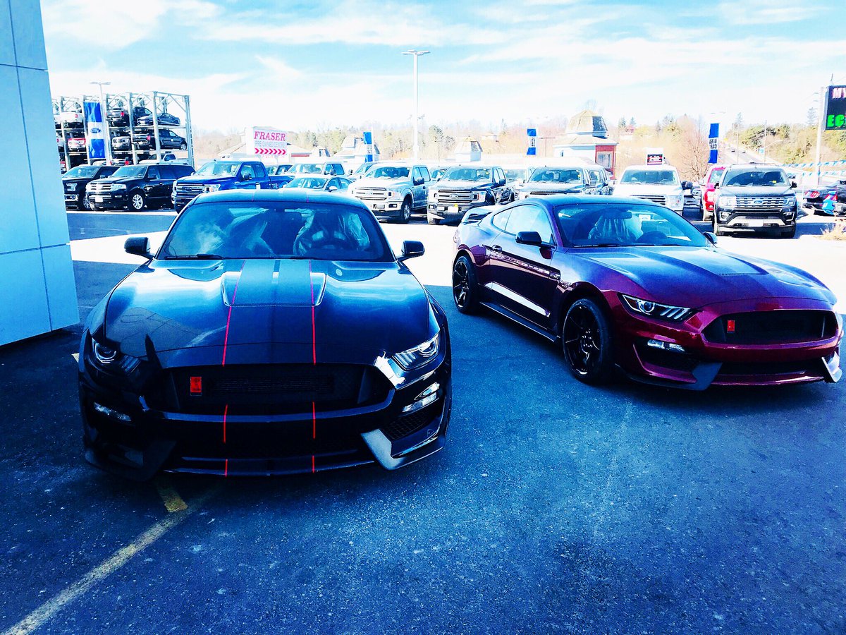 FraserFordSales's tweet photo. No words needed!! Stripes or no stripes that is the question? #shelby #ford #mustang #fraserperformance #FraserNation #oshawa https://t.co/2zOd79E2rj