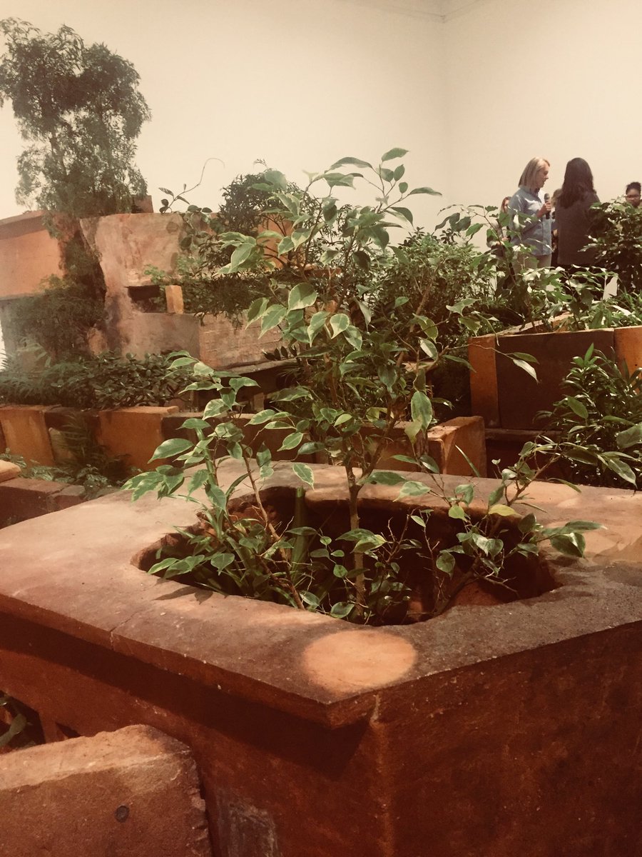 SarDSta's tweet image. Live plants in a museum? Yes! @hirshhorn has a full maintenance plan and #IPM for “Abbottabad” by Huang Yong Ping #collectionmanagement in contemporary art