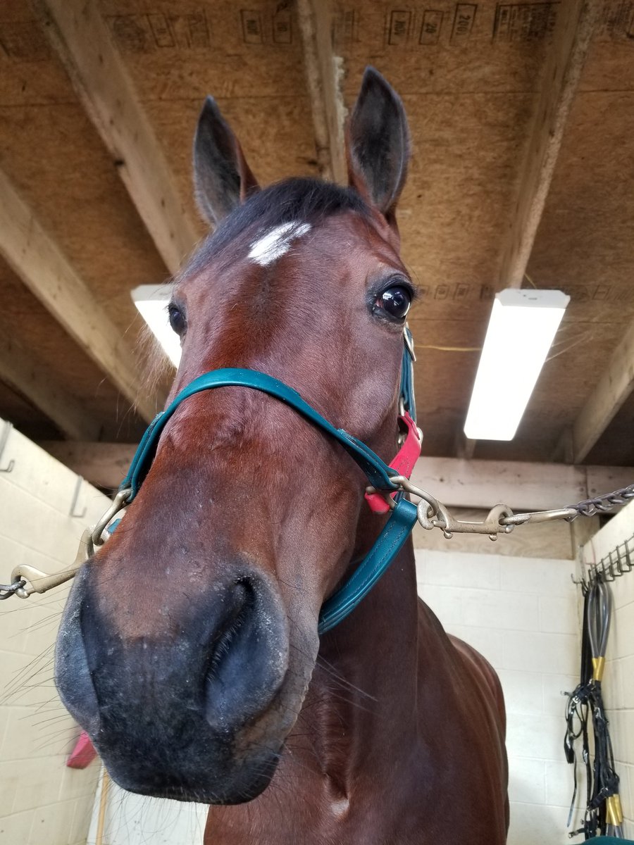 JoannKi32885615's tweet photo. Heading for my favorite track...Yonkers!!!!...better PP for me tonight so I plan on being "a force to be reckoned with"  #SassyPants #BlueChipMatchmaker  #TetrickTap https://t.co/HxTuYYFiND