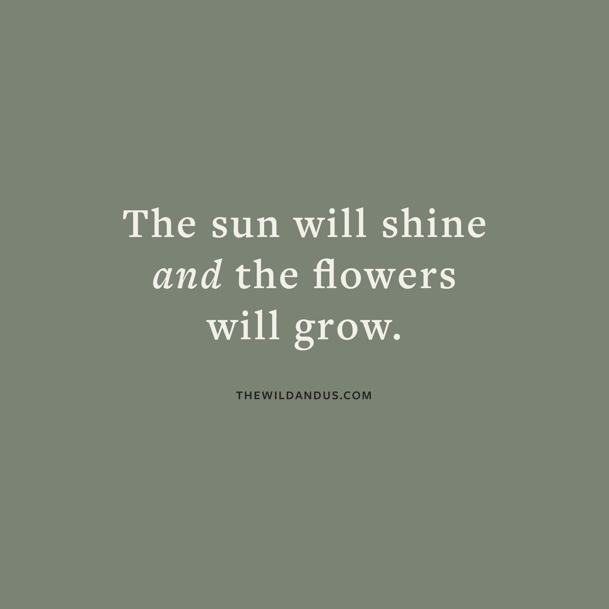 thewildandus's tweet photo. Spring will be here soon, friends. 🌻🌞 https://t.co/MvTVi1H7Mt