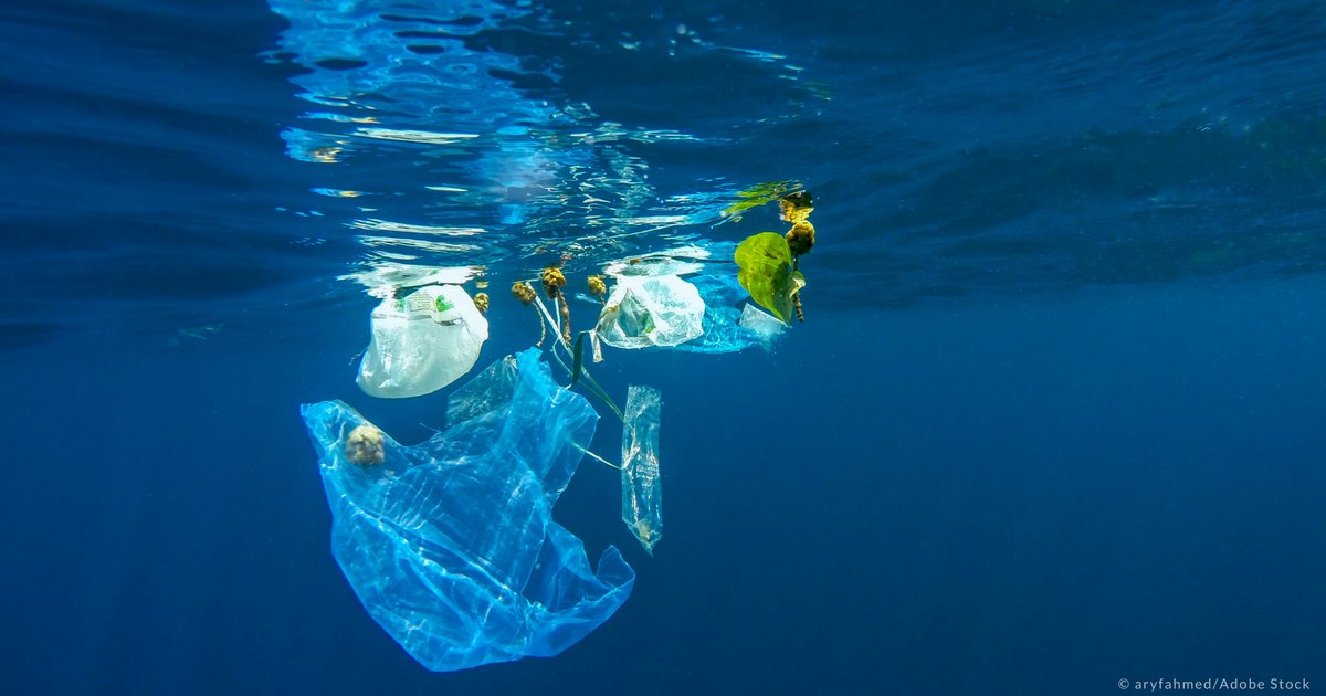 GoodScrub's tweet image. We're moving! On Monday @GoodScrub will be archived because we will be  launching a brand new #faunaflorainternational account dedicated to marine  #plasticpollution. Stay tuned.