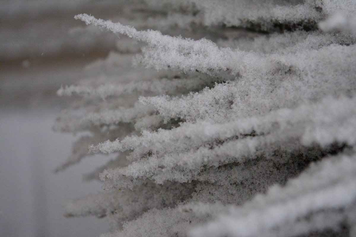 DrummerBoy2112's tweet image. Even a Spring snow storm has its own special beauty.
#StormHour #PEI #CanadianSpring