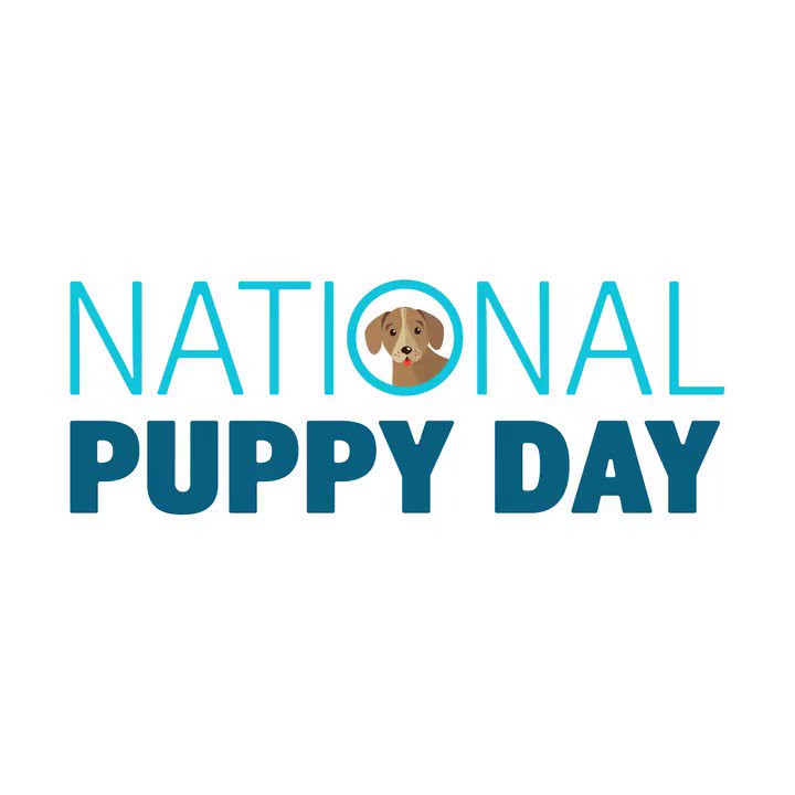 At  <a href="/Banfield/">Banfield Pet Hospital</a> every day is #NationalPuppyDay