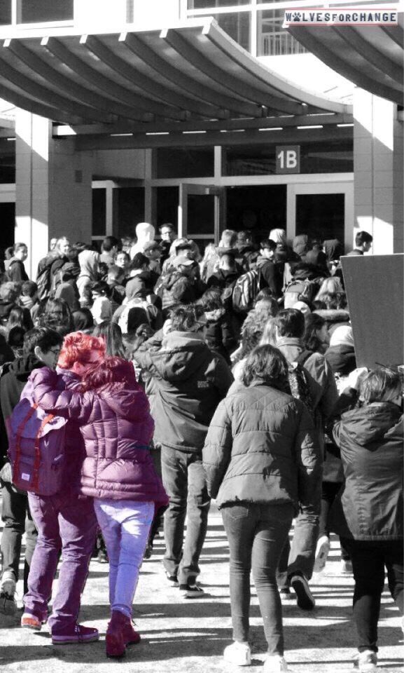 Niles West Activism tweet media