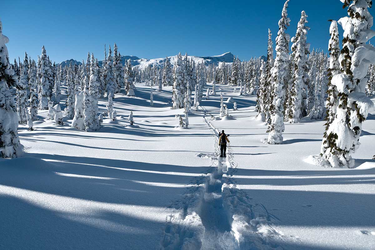 Which is better winterplace or snowshoe Which is better winterplace or snowshoe is eth going to take off like btc december 2022