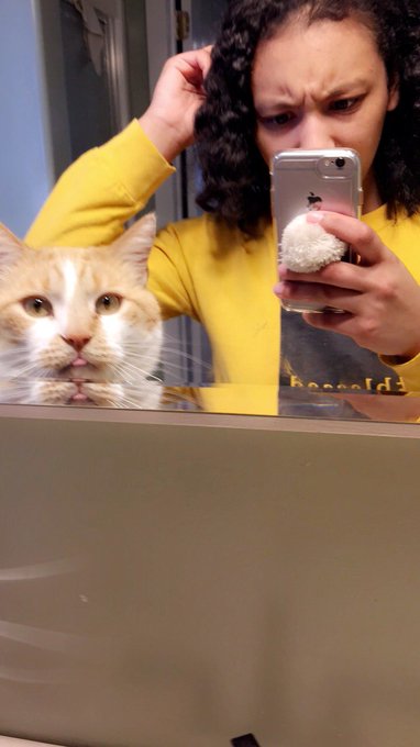 🐈 https://t.co/D18edjhkEx<a href="/tag/celebratinglife"class="tags"><span>#celebratinglife</span></a>