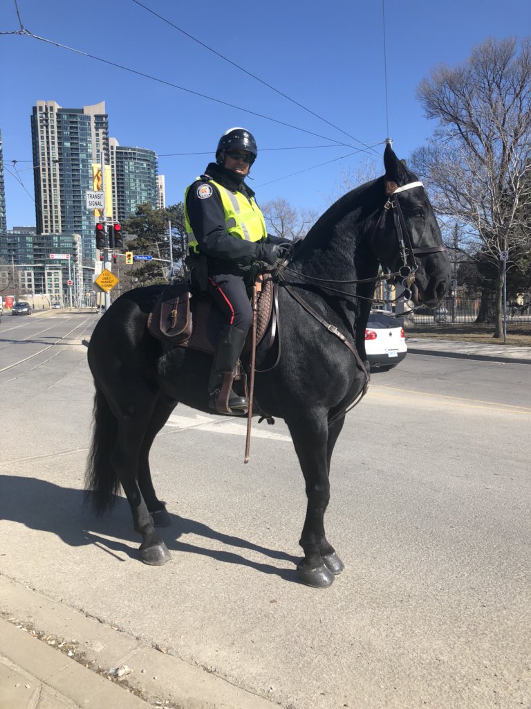 LorettaRyan's tweet photo. Well, hello there! Did you know that the historic Horse Palace (circa 1932) @ExPlaceTO is home to the @TorontoPolice Services Mounted Unit? I had the pleasure of meeting Chief today while leaving a nearby conference. #TOPHC2018 ๐ https://t.co/R2Hvny8CkH