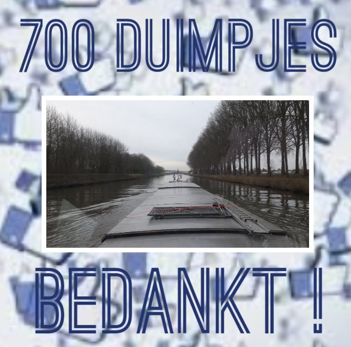 ms_Cuore's tweet photo. Alweer 700 duimpjes op onze facebook pagina mogen ontvangen, vinden wij leuk! 👍😁 https://t.co/zXiFl7seFx