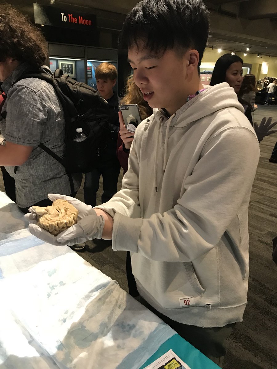 capecodacademy's tweet photo. G9 enjoyed a day at Boston’s Museum of Science learning about the human body, hearing about research on obesity, and some students participated in a UMass Boston sensory integration experiment while others held brains and did a mirror maze! #insideCCA #mosphotos https://t.co/muS6f5kx5C
