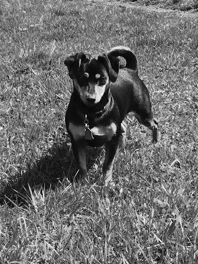 My little rotten boy!  ❤️