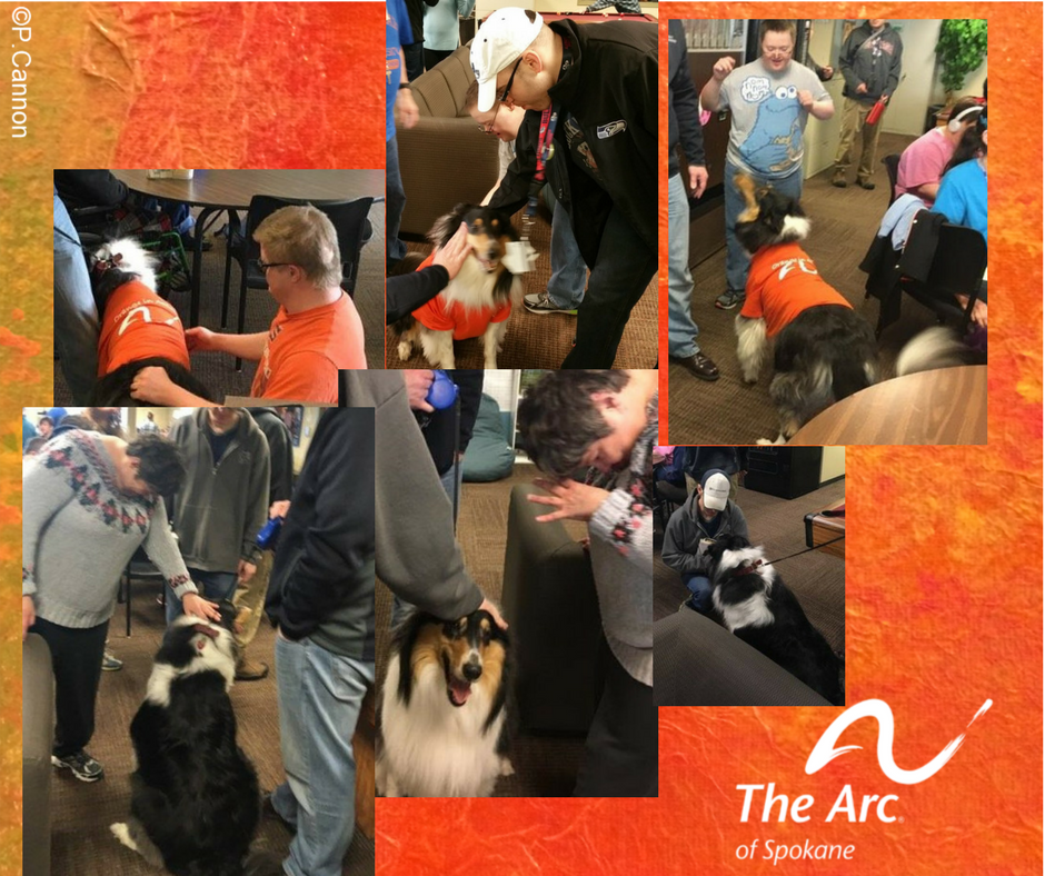 arcspokane1's tweet photo. #FunFactFriday--our #CommunityCenter is place for people with I/DD to hang out and socialize. Sometimes, with Max, the #OrangeinAction #Dog!
#Friday #Friyay #Spokane   #ddawareness18 #seemeforme #poweroforange #NationalPuppyDay #support #inclusion #advocacy https://t.co/Eth8b7YmLJ