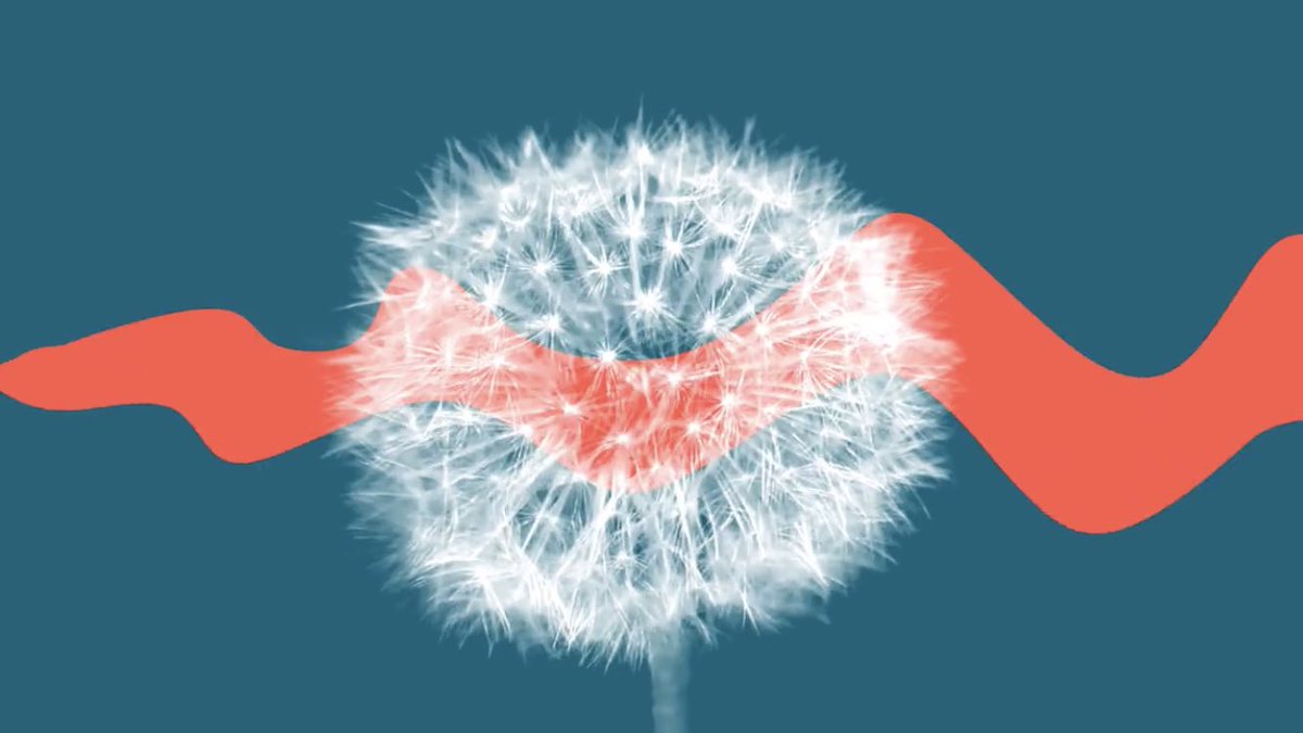 Head on over to <a href="/nbhap/">Noor deen Bhap</a> to check out the premiere for the animated lyric video for Pilots🙌 #indie #folk #singersongwriter