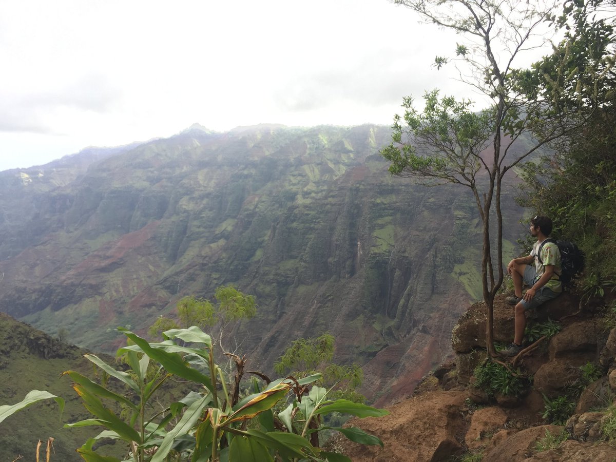 UlohaHawaii's tweet photo. Why do people climb mountains? To get to the top.

#Osprey #ospreypacks #reddirt #greenfaces #Uloha #luckyweliveHI #Hawaiiunchained #waimeacanyon #Kauai #hiking #ventureHawaii https://t.co/HrFnj0YsIT