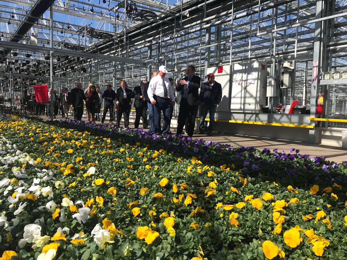NLintheUSA's tweet photo. Jerry van Hoven gives Ambassador @henneschuwer a tour of Battlefield Farms, which has 48 acres of greenhouses from the Netherlands. Another example of Dutch-American entrepreneurship in Orange County. #NLinOrangeVA https://t.co/sz7odFXjwB