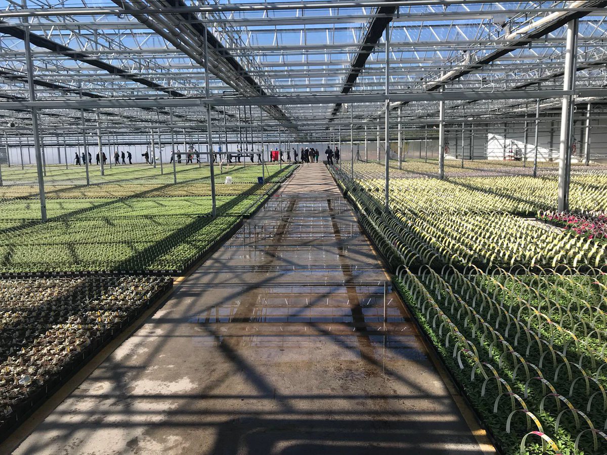 NLintheUSA's tweet photo. Jerry van Hoven gives Ambassador @henneschuwer a tour of Battlefield Farms, which has 48 acres of greenhouses from the Netherlands. Another example of Dutch-American entrepreneurship in Orange County. #NLinOrangeVA https://t.co/sz7odFXjwB