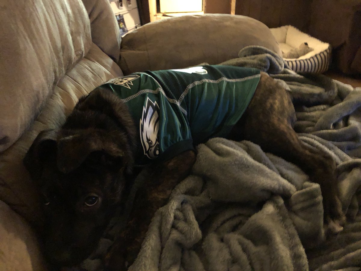 Ry_paige03's tweet photo. Happy National Puppy day! Love you Molly https://t.co/1oGXiPMnth