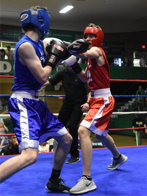 nddons's tweet photo. And in this corner...tonight (3/24, doors open at 6pm/bouts at 7pm) it's the @nddons Boxing Fight Night at 7655 W. Dempster, Niles, IL. Tickets are $5 or free for NDCP students. 14 fantastic bouts. Spread the word!@NDCP_Enrollment @nddons_alums #NDDonsBoxing https://t.co/ylVLo1PhNr
