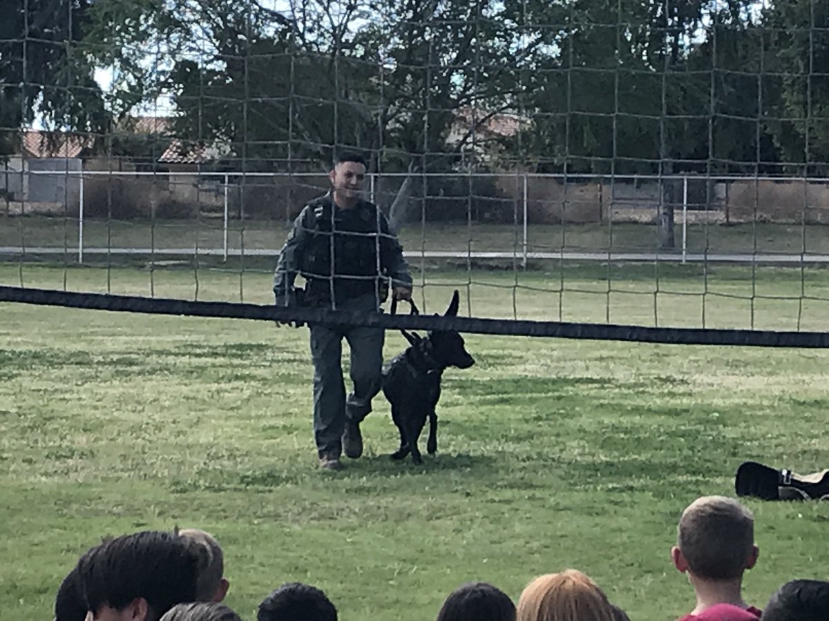 principalJH's tweet photo. Amazing Career Day at Garden Lakes! Thank you to all our community members who came to share their passion and expertise with our students! 😊 https://t.co/xkBXtGiyjM