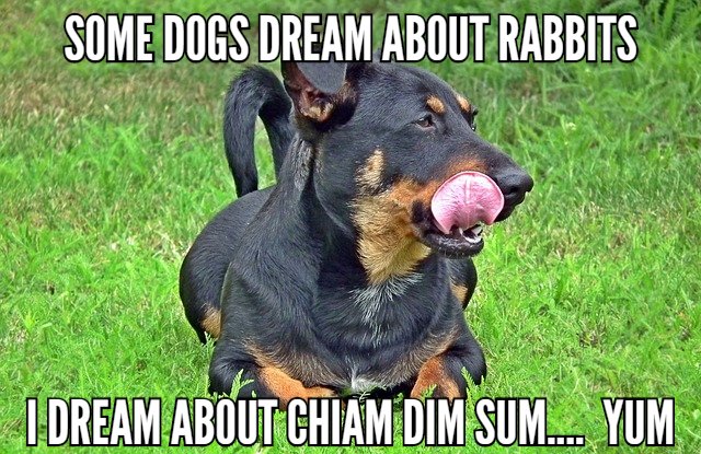 Join us for Lunch today at Chiam for our VALUE BOX SPECIAL! and Celebrate #NationalPuppyDay

ANY ENTREE &amp; SIDE -- $4.88 -- MON-SAT

Now with 2 Las Vegas Locations --  West Charleston and in the <a href="/TheBoulevardLV/">The Boulevard</a>