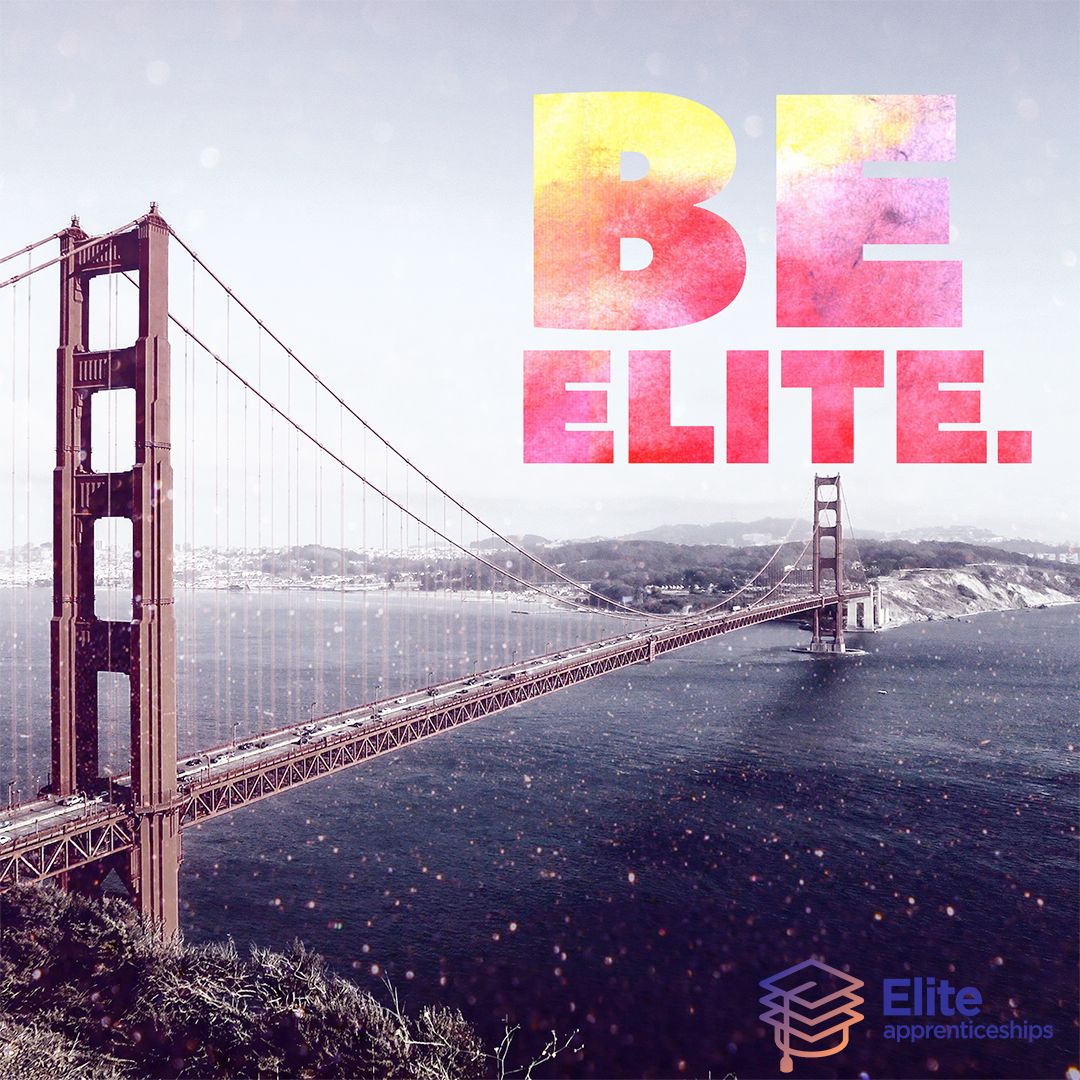 EliteApprentice's tweet image. Elite Apprenticeships is filling roles for great companies left and right!