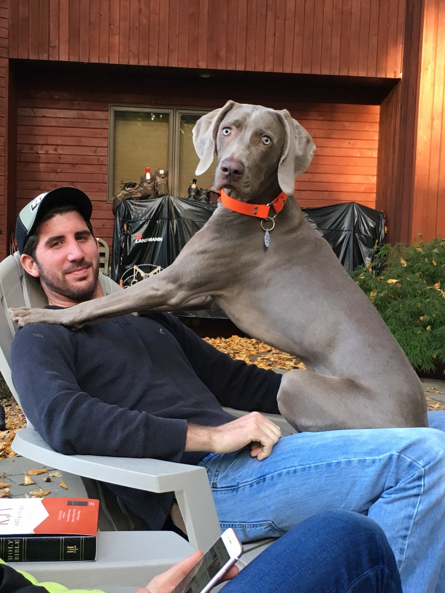 Happy National Puppy Day! #NationalPuppyDay #puppies #cutepuppies