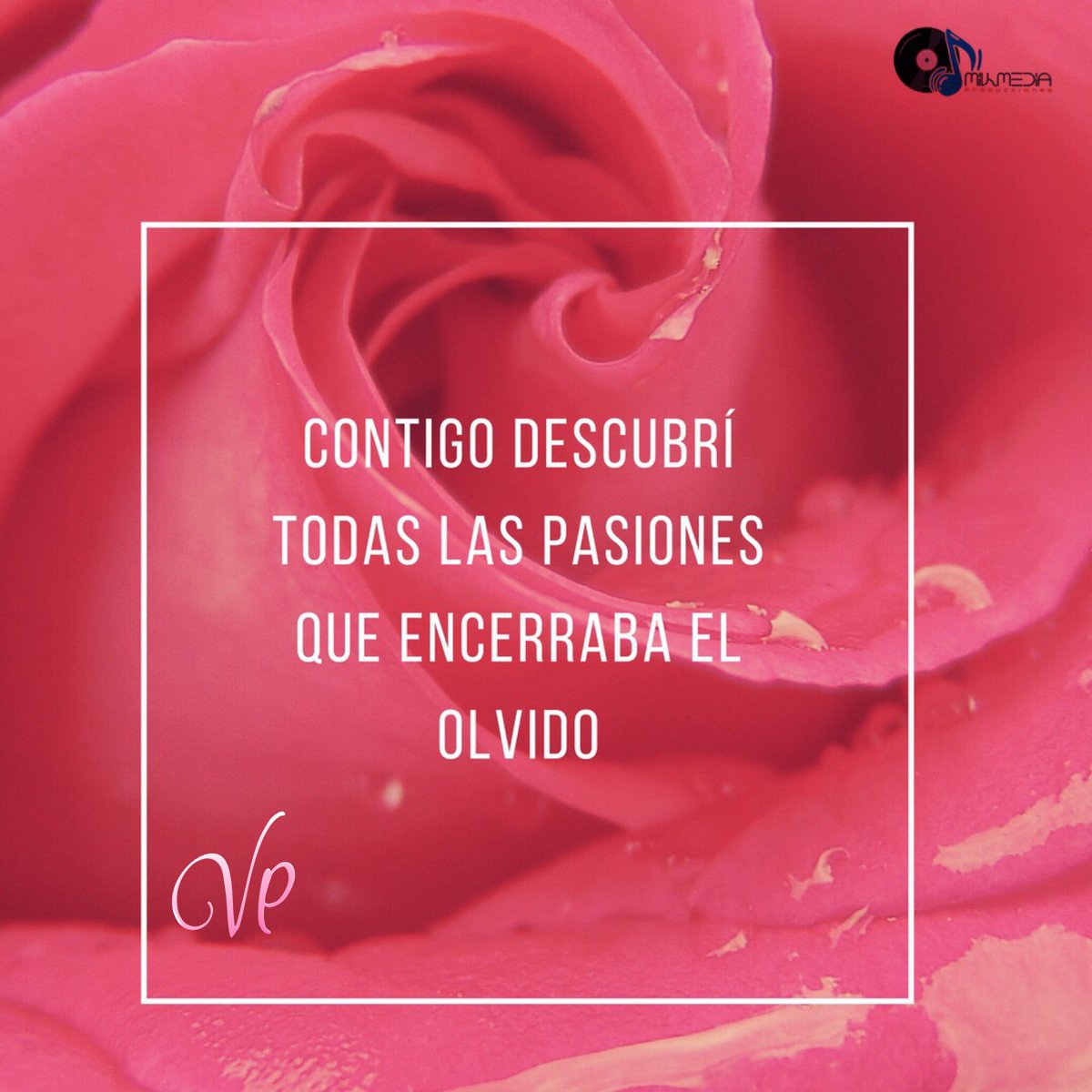 VidayerotismoVP's tweet photo. Frase del día!

Sígueme 
Instagram : @vidayerotismo 
Twitter: @VirginiaPascal3 
Virginia Pascale.Escritora
#Vidayerotismo #escritora #cantosalavida #frases #notas #pensamientos #reflexiones #versos #amor #mikmediaproducciones https://t.co/Uaofm0WvI2