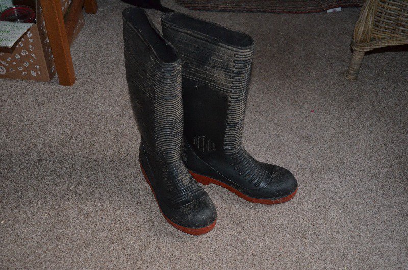 DursleyFreegle's tweet image. Offer: Steel Toe-capped Wellington Boots (Upper Framilode GL2) ilovefreegle.org/message/454860…