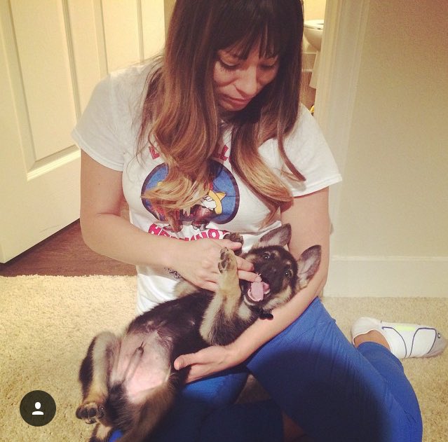 MelindaJane's tweet photo. Happy #NationalPuppyDay to my baby boy, @DrogoGSD! He was such a cute puppy! 🐶😍 https://t.co/cePiXwECd1