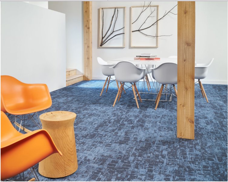 BlueCarpetes's tweet photo. No showroom da @BlueCarpetes conheça a coleção Artic Survey da Milliken floors. #projeto #arquiteto #archdaily #carpetes https://t.co/j8JI2Z4uux