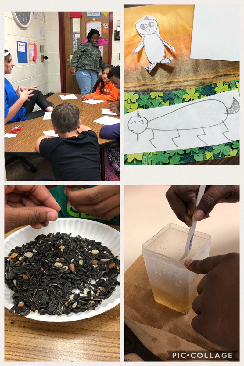 MsLybrand's tweet photo. Today we explored hands on some animal structural adaptations! Also-these photos were taken by a STUDENT! #futurephotographer #futurezoologists https://t.co/tJfNibvzUD
