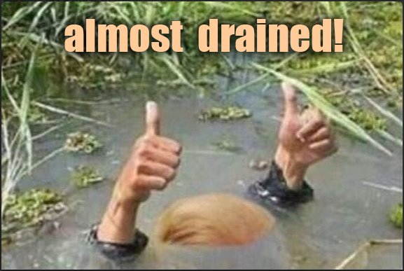 00honeybee's tweet image. #OmniBUST