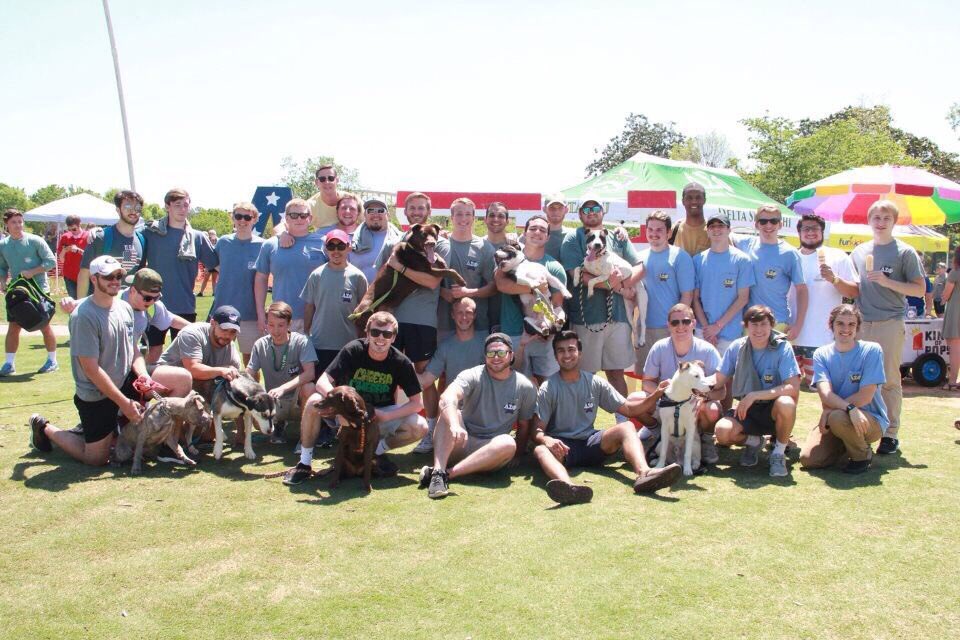 KennesawAdmit's tweet photo. Happy Friday!! It’s International Puppy Day so here’s our fraternity, @DeltaSigKSU, with their puppies on the green! #wisechoiceksu 🐶🦉 https://t.co/GcYHFEIHv5