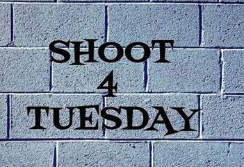 Shoot 4 Tuesday is back on our Hilltop Stage this upcoming Sunday from 12 to 4, come relax with us all afternoon.  #livemusic #Temecula #temeculalivemusic #belvinomusic #temeculawines