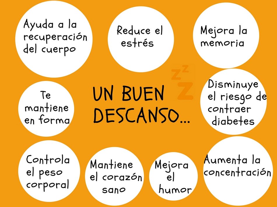 Factorydescans's tweet photo. ¿Por qué comprar un colchón en Factory descans? ➡️ https://t.co/C5yOwQeMKd #BlogFactoryDescans #DiaMundialDelSueño https://t.co/kMkTyY0ZfT