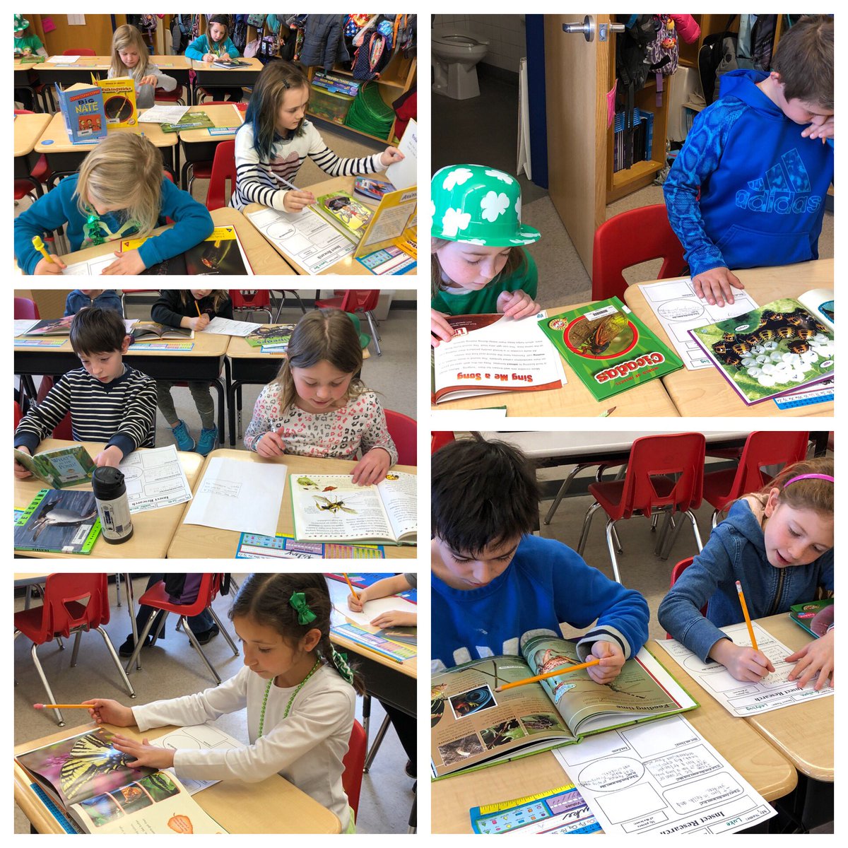 MrsSuttonNHS's tweet image. 24 different insects are being researched in 2S.🦗🐜🐛🦋🐞🐝
“I never knew walking sticks change color!”  💡
#buggingout #Day1  #NHSSD
  @NHS_LES #LittlestLions