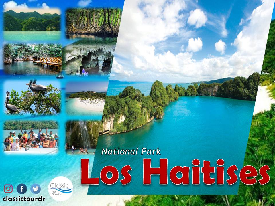 Classic Tour tweet media