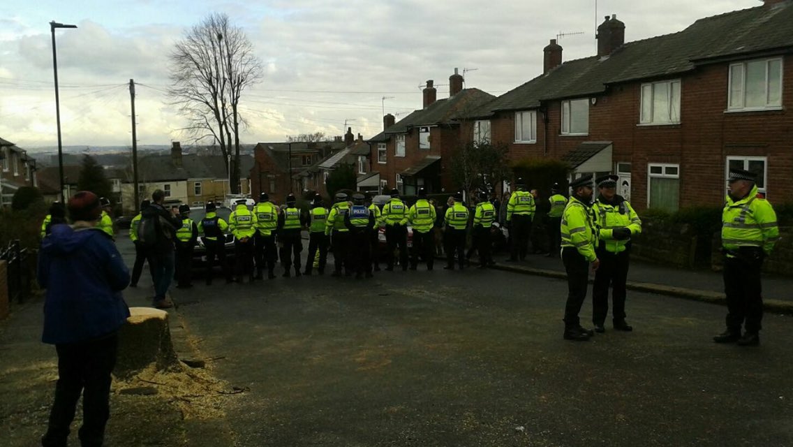 carolinegray76's tweet photo. This photo sums up the madness in Sheffield. All those police to allow a private contractor to cut down 1 tree!! Ridiculous waste of resources #SaveSheffTrees https://t.co/vCRyz0iHtc