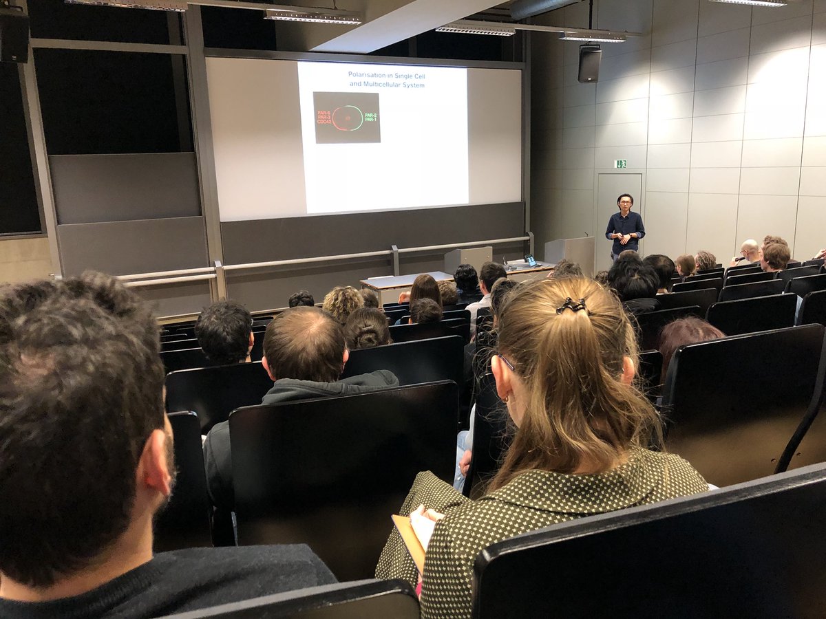 YWHsieh's tweet photo. Chen-Ho Wang from @Honigmann_Lab explaining the minimal components of cell polarity establishment monitoring with super-resolution microscopy in @mpicbg https://t.co/zwJH84ERqB