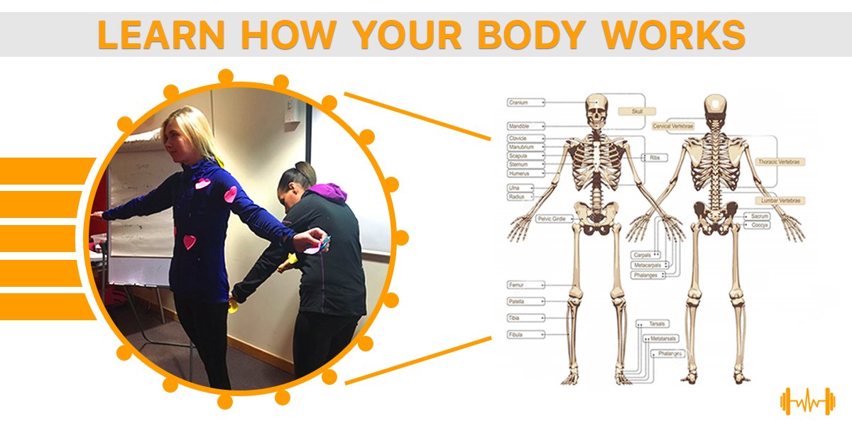 Here at Life Change Fitness we can help you become a fully qualified #personal #trainer in just 7 weeks. During this period you will not just learn about the many various #exercises in #fitness and nutrition, but also look in-depth about how the #human #body work. #gym #liverpool