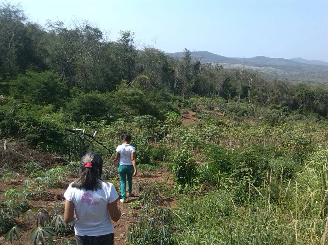 Mujeres del mcpio. Bolívar optan por créditos a través del programa <a href="/soymujer/">soy mujer</a> mostrando sus actividades productivas