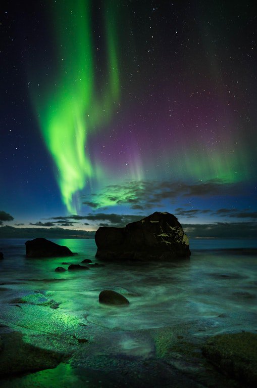 EarthAntidote's tweet image. 📍 Northern Lights in Norway