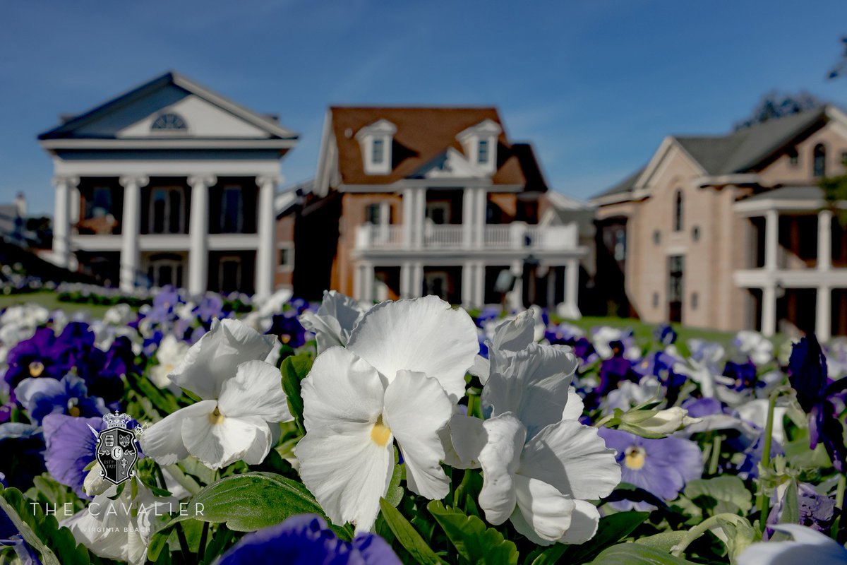 Cavalier Realty (CavalierRealty) Twitter