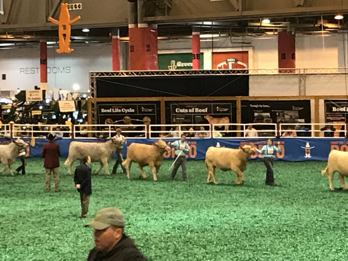 Spring FFA tweet media