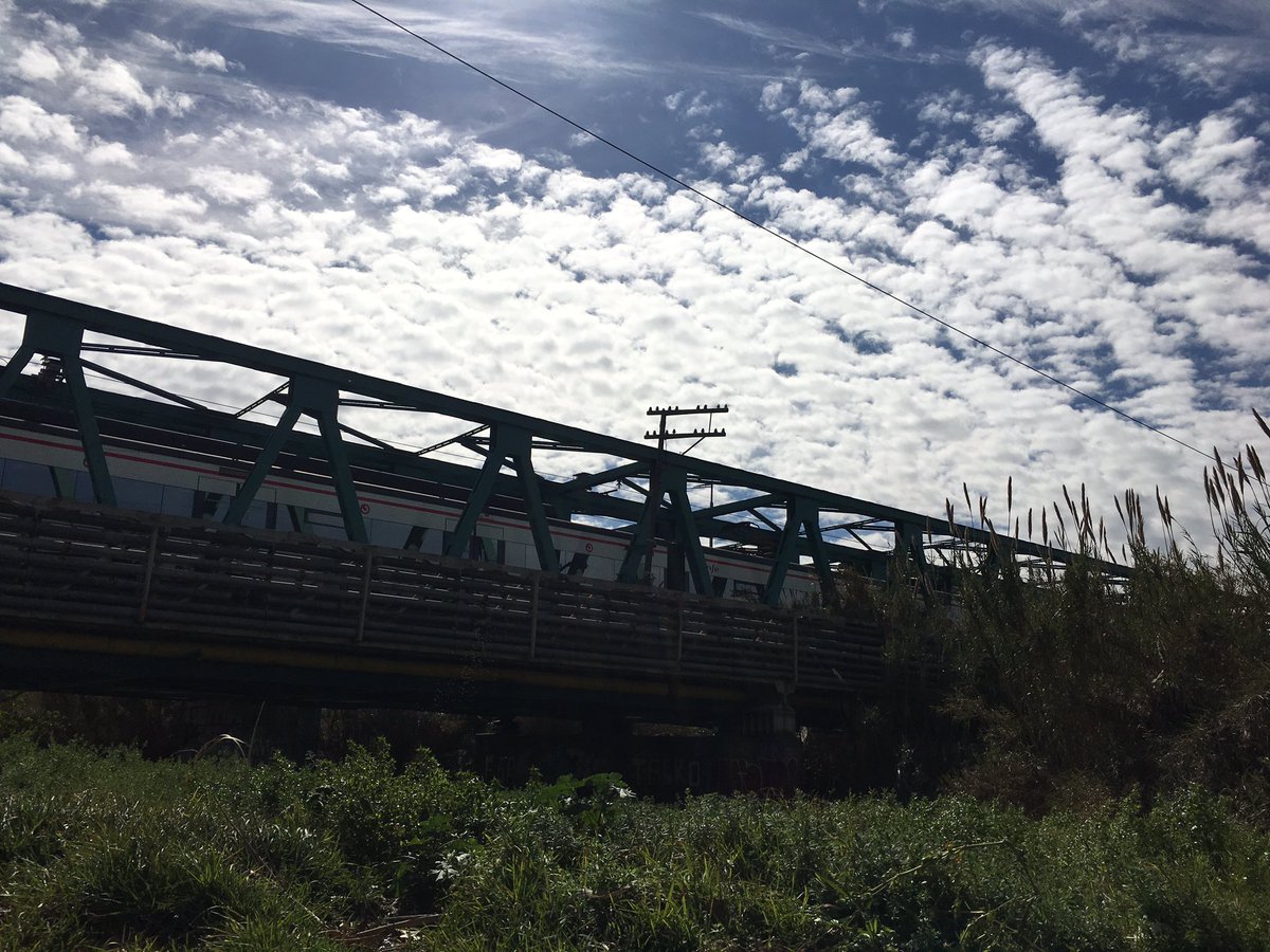 Trincollbcn's tweet photo. BARC 300 city visit today. Exploring urban boundaries, we biked from Poblenou to Parc Fluvial del Besos. #trincollbcn #trinitystudyaway #boundaries #urban #bikingadventures #parcfluvialdelbesos #barcelona #teachingbybiking https://t.co/j7L8JRnXY8