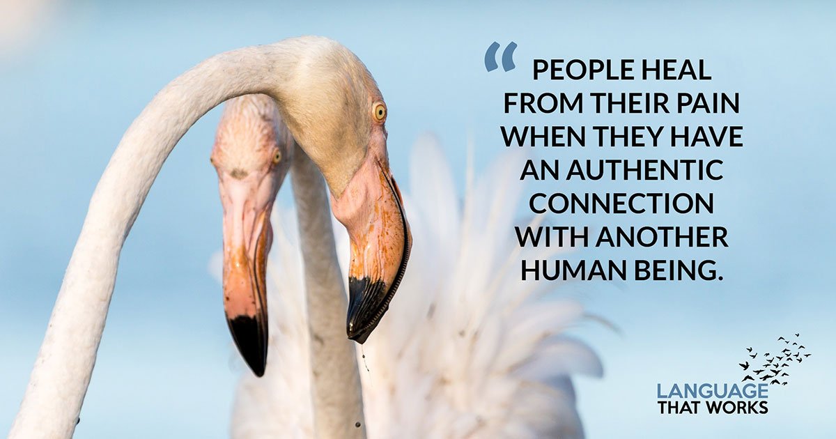 languageworksCT's tweet photo. Being someone authentic connection is important. #LanguageThatWorks #NVC https://t.co/HNsuapYDpm https://t.co/JOCz0afets