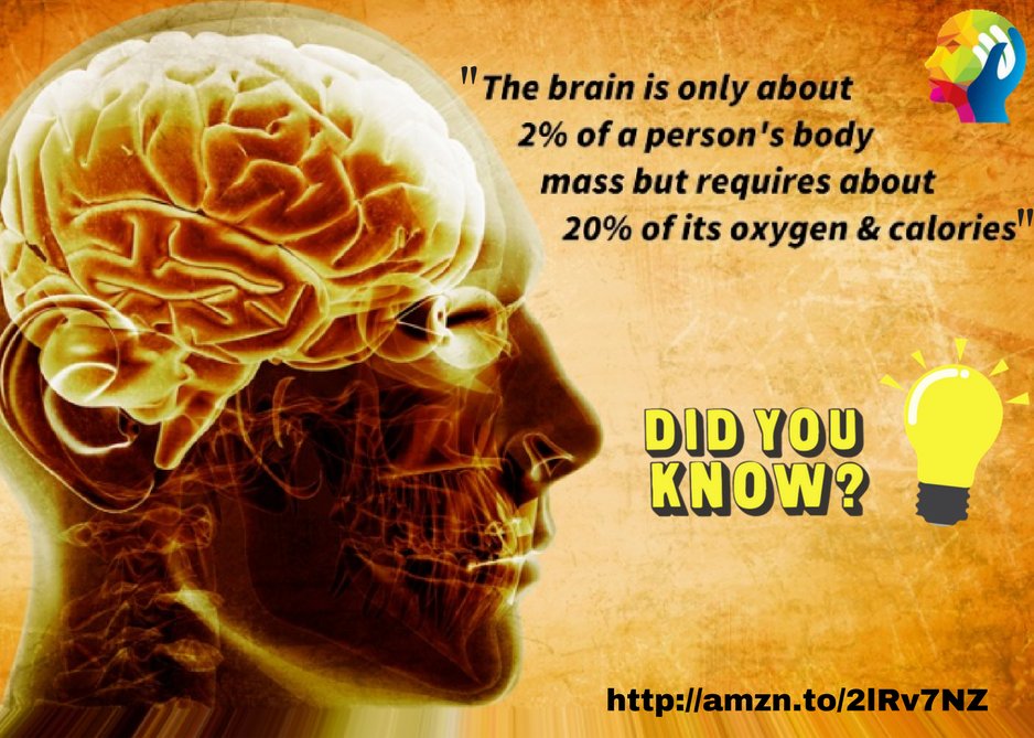 HowToBecomeCNA's tweet photo. Facts about your #brain. https://t.co/rxAbsfQgHX #didyouknow #mentalhealth  #mentalillness #rn #nursing #hospital #usa #love #care #nursepractitioner #nursingaspirants #nursingstudent #nurse  #book #cna #mentalhealthnurse #physiatric #mhn #mentalhealthnurses #mentalhealthcare https://t.co/d3aakpHRmH